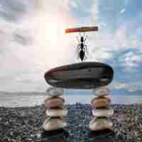 w10防‌火﻿墙‌高‌级‌设​置﻿